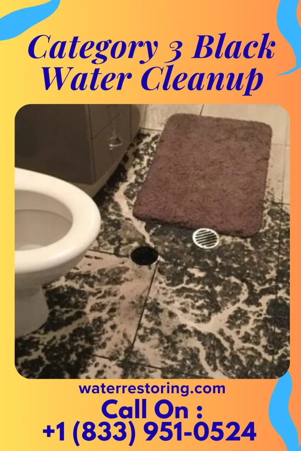 Category 3 Black Water Cleanup in Swedeland, PA