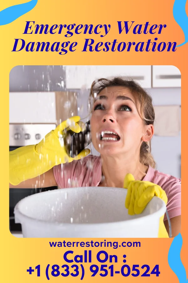 Emergency Water Damage Restoration in Swedeland, PA