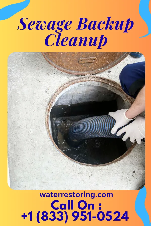 Sewage Backup Cleanup in Swedeland, PA