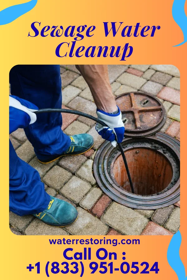 Sewage Water Cleanup in Swedeland, PA